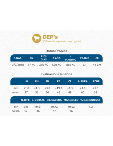 Embrión Angus Rp 7 - Soberano