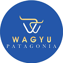 Wagyu Patagonia