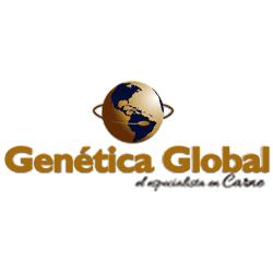 Genética Global