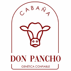 Don Pancho